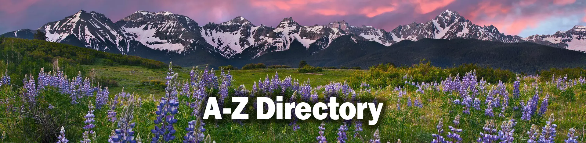 景观的科罗拉多山脉的紫丁香。单词- Z目录是一个覆盖在草地上。